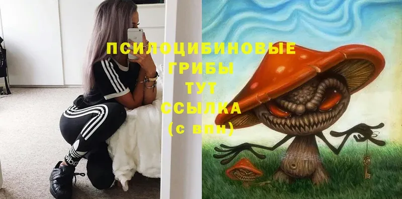 Галлюциногенные грибы Magic Shrooms  Белый 